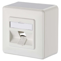 Image of 130B10D10002-E - Data outlet white 130B10D10002-E