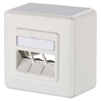 Image of 130B10D30002-E - Data outlet white 130B10D30002-E