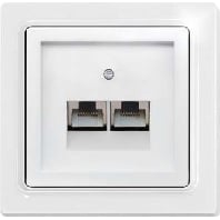 Image of UAE65/2-wg - Central cover plate UAE/IAE (ISDN) UAE65/2-wg