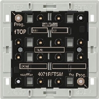 Image of 4071 RF TSM - Touch sensor for home automation 2-fold 4071 RF TSM