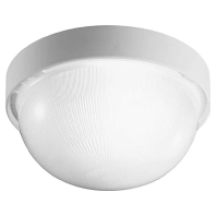 Image of DROP 20 ws IAA - Surface mounted luminaire 1x60W DROP 20 ws IAA