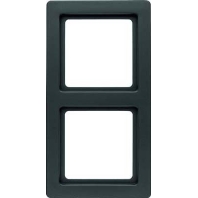 Image of 10126086 - Frame 2-gang anthracite 10126086