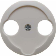 Image of 103920 - Central cover plate 103920