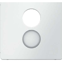 Image of 11966089 - Central cover plate 11966089