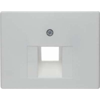 Image of 14070069 - Central cover plate UAE/IAE (ISDN) 14070069