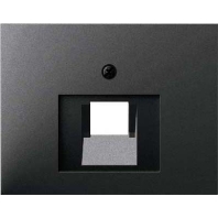 Image of 14077006 - Central cover plate UAE/IAE (ISDN) 14077006