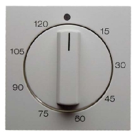 Image of 16331909 - Cover plate for time switch white 16331909