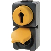 Image of 4432 - Combination switch/wall socket outlet 4432