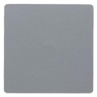 Image of 75940483 - Cover plate for switch aluminium 75940483