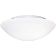 Image of 41067 - Surface mounted luminaire 2x60W 41067