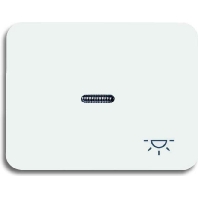 Image of 1789 LI-24 - Cover plate for switch/push button white 1789 LI-24