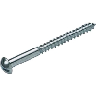 Image of 19 0162 (200 Stück) - Wood screw 4x40mm 19 0162