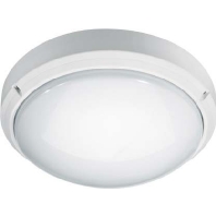 Image of AIL 110 LED HF ws - Ceiling-/wall luminaire 1x10W AIL 110 LED HF ws