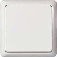 Image of 241604 - Switch flush mounted white 241604