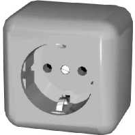 Image of 395002 - Socket outlet protective contact brown 395002