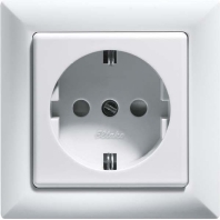 Image of DSS+SDO55-rw - Socket outlet (receptacle) DSS+SDO55-rw