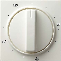 Image of 064240 - Cover plate for time switch white 064240