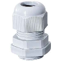 Image of ASM 25 - Cable screw gland M25 ASM 25