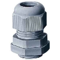 Image of ASS 25 - Cable screw gland M25 ASS 25