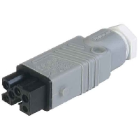 Image of STAK 5 gr - Sensor-actuator connector STAK 5 gr