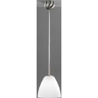 Image of 610515 - Pendant luminaire 1x57W 610515