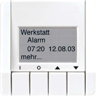 Image of 2041 - Display for home automation flush 2041