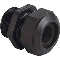 Image of 1540.21 - Cable screw gland PG21 1540.21