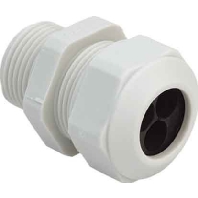 Image of 1571.20.3.060 - Cable screw gland M20 1571.20.3.060