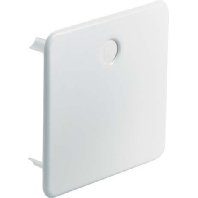 Image of 9909.12 - Cover for flush mounted box square 9909.12