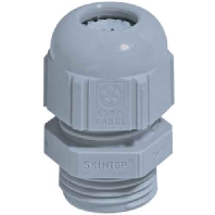 Image of STR Pg16 R7001 SGY (50 Stück) - Cable screw gland STR Pg16 R7001 SGY