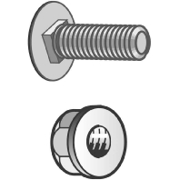 Image of BTRCC 6x20 DC (100 Stück) - Mushroom head square neck bolt M6x20mm BTRCC 6x20 DC