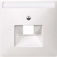 Image of 291819 - Central cover plate UAE/IAE (ISDN) 291819