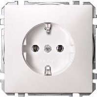 Image of 2601/6/20 EBW-53 - Combination switch/wall socket outlet 2601/6/20 EBW-53et (receptacle) MEG2301-4219"