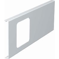 Image of D2-1 110RW - Face plate for device mount wireway D2-1 110RW