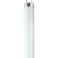 Image of L 16W/830 - Fluorescent lamp 16W 26mm 3000K L 16W/830