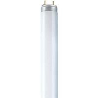 Image of L 18/930 - Fluorescent lamp 18W 26mm 3000K L 18/930