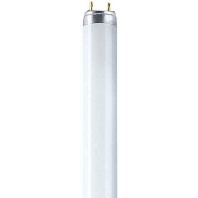 Image of L 18/965 Biolux - Fluorescent lamp 18W 26mm 6500K L 18/965 Biolux