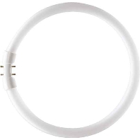 Image of Philips MASTER TL5 Circular 22.3W 2GX13 A Warm wit