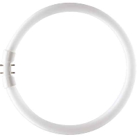 Image of Philips MASTER LED TL5 Circular 22W/840 1CT