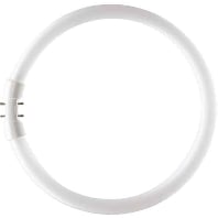 Image of Philips MASTER TL5 Circular 39.9W 2GX13 A Warm wit