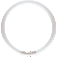 Image of Philips MASTER TL5 8711500642516 fluorescente lamp