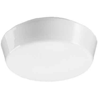 Image of 10131.002 - Surface mounted luminaire 2x60W 10131.002