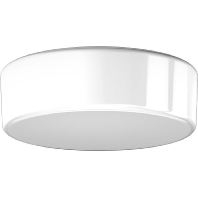 Image of 10330.002 - Surface mounted luminaire 1x75W 10330.002