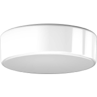 Image of 10334.002 - Surface mounted luminaire 1x100W 10334.002