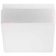 Image of 20129.002 - Surface mounted luminaire 2x60W 20129.002