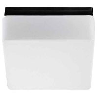 Image of 20129.003 - Surface mounted luminaire 2x60W 20129.003