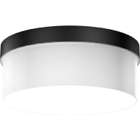 Image of 22142.003 - Surface mounted luminaire 2x60W 22142.003