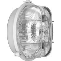 Image of 501000.009 - Surface mounted luminaire 1x100W 501000.009