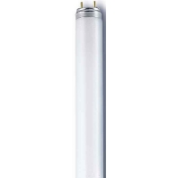 Image of NL-T8 18W/830/G13 - Fluorescent lamp 18W 26mm 3000K NL-T8 18W/830/G13