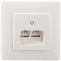 Image of IAE/UAE2x8(4)TRSUPrw - 2x RJ45 8(4) Data outlet Cat.3 white IAE/UAE2x8(4)TRSUPrw